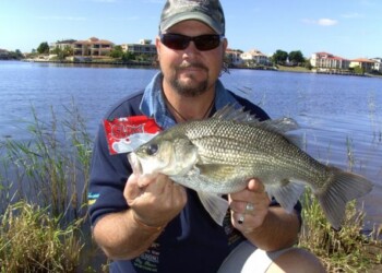 Federal Environment Minister Tony Burke.